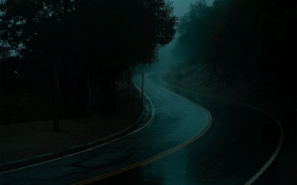 Дорога ночью