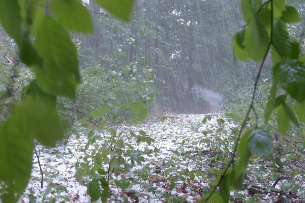 Выпадение осадков