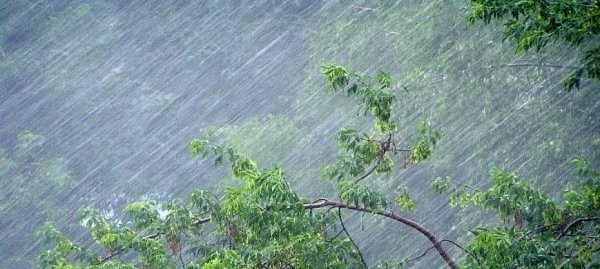 Предупреждение о грозе и сильном ветре