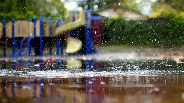 Дождливое лето