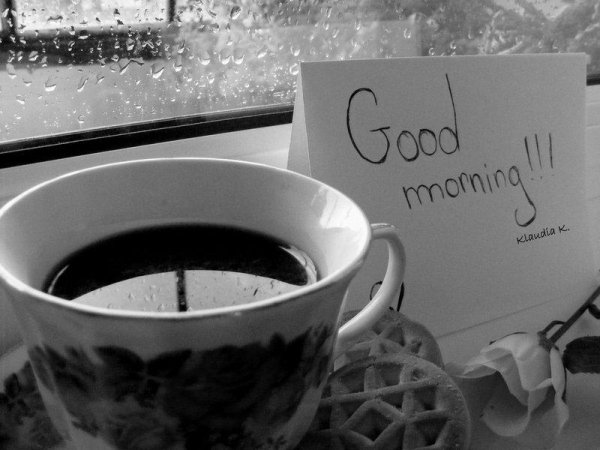 Доброе дождливое утро