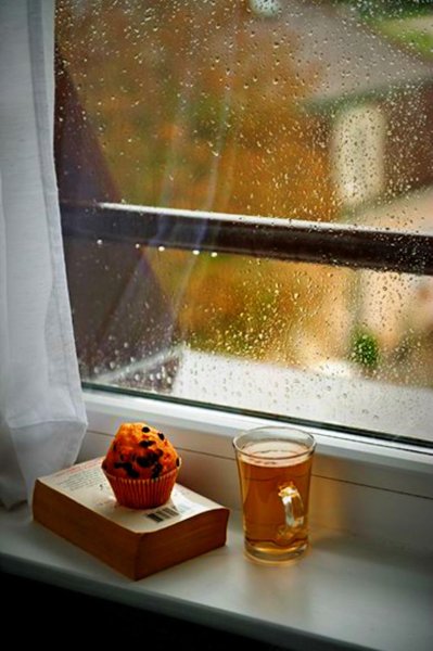Дождливое утро в окне
