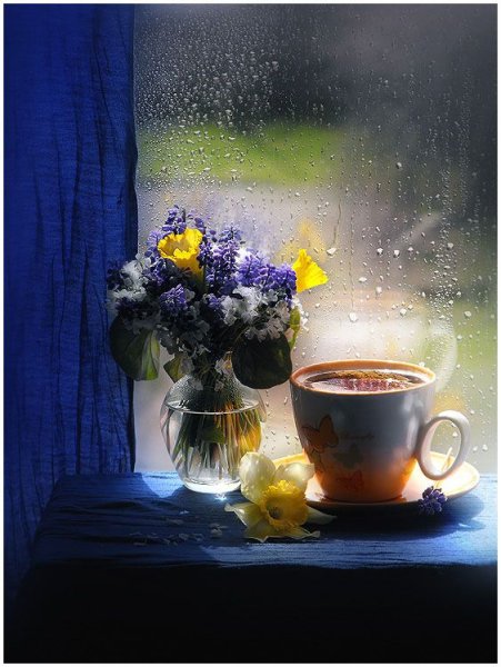 Доброе дождливое утро