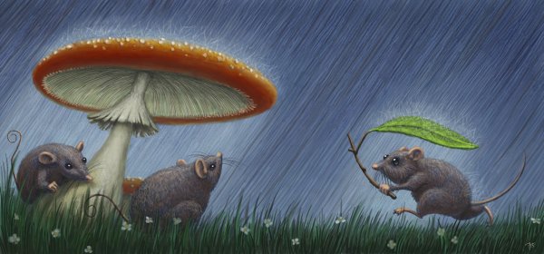 Животные под дождем