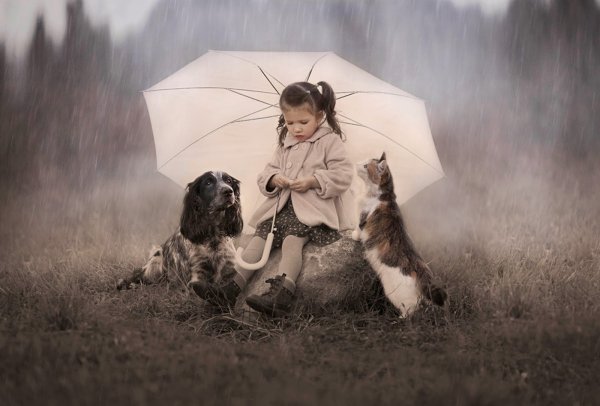 Девушка с зонтиком и собакой