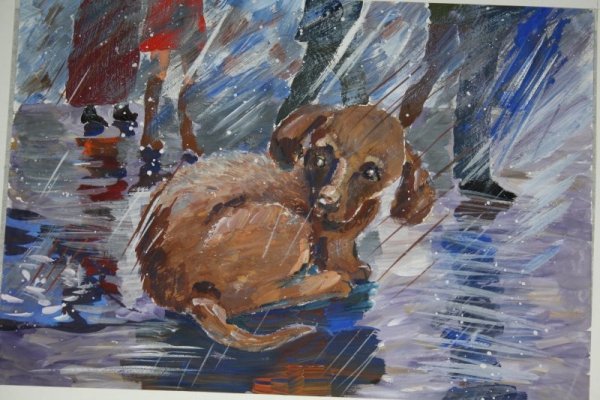 Бездомная собака картина