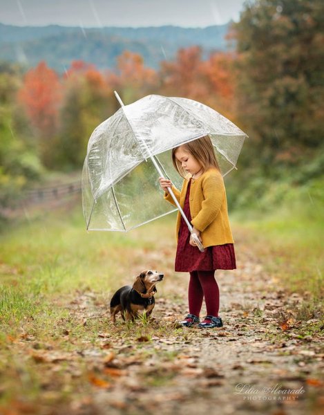 Дети и животные под дождем