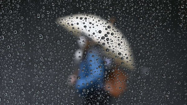 Дождливый сегодня день но дождя нет