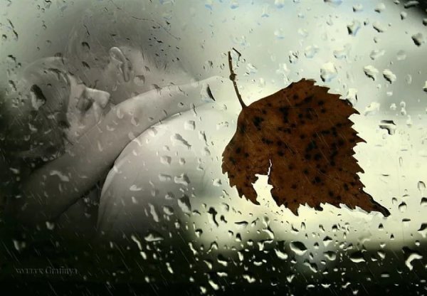 Осень плачет дождем