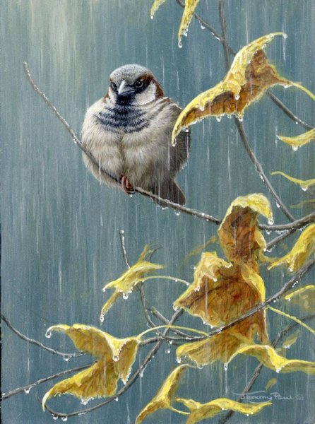 Художник Jeremy Paul