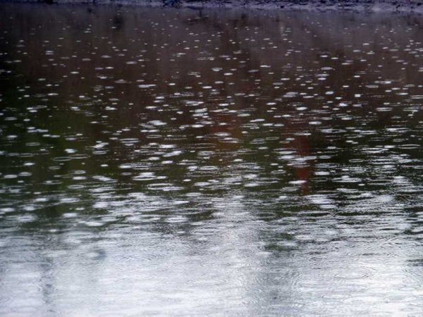 Мелкий дождь