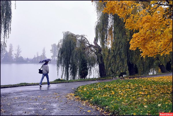 Моросящий осенний дождь