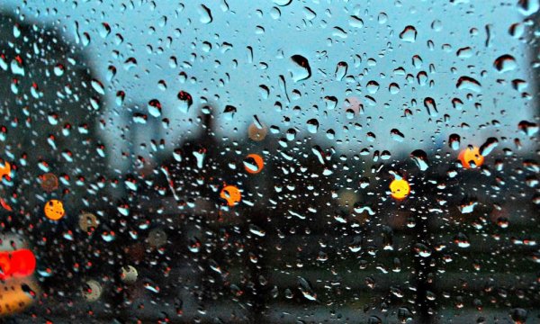 Дождик моросит