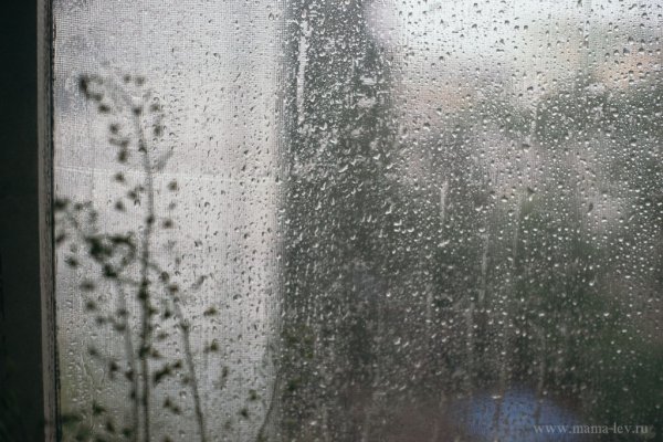 Моросящий дождь