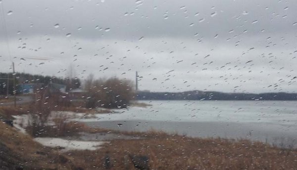 Дождик моросит