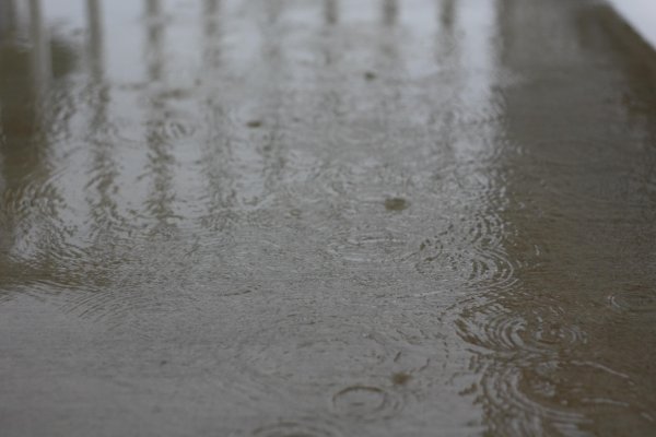 Моросит мелкий дождь