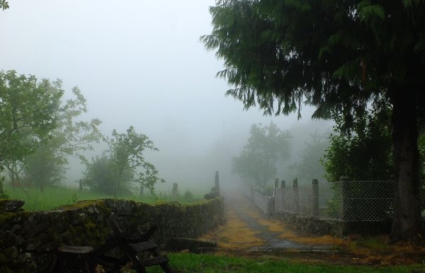 Туман это осадки