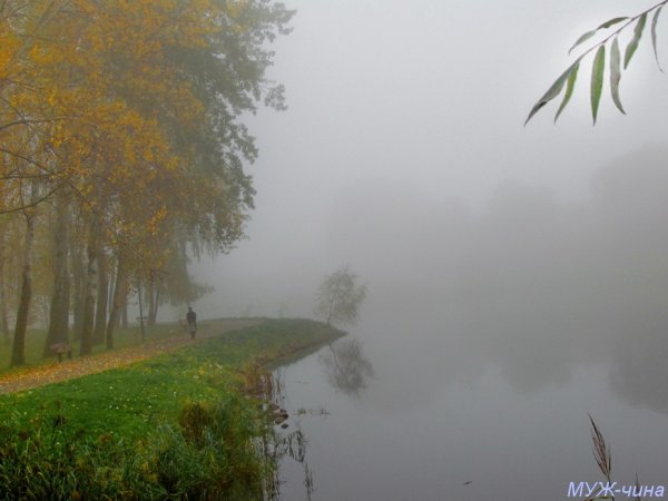 Моросящий осенний дождь