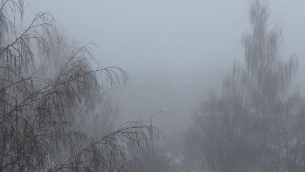 Туман моросит дождь