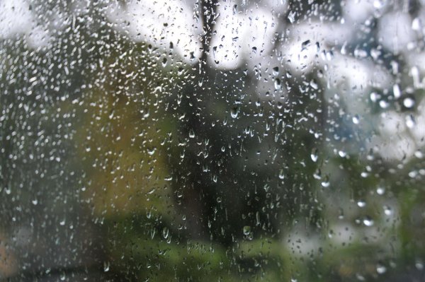 Моросящий дождь