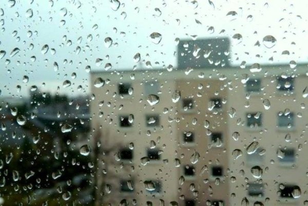 Дождик моросит