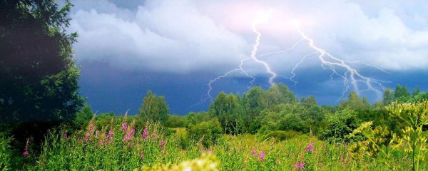Летняя гроза в лесу