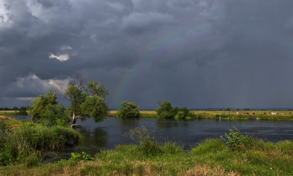 Перед грозой Брянск