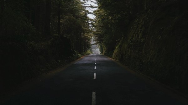 Дорога в темном лесу