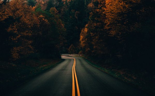 Осень дорога поворот