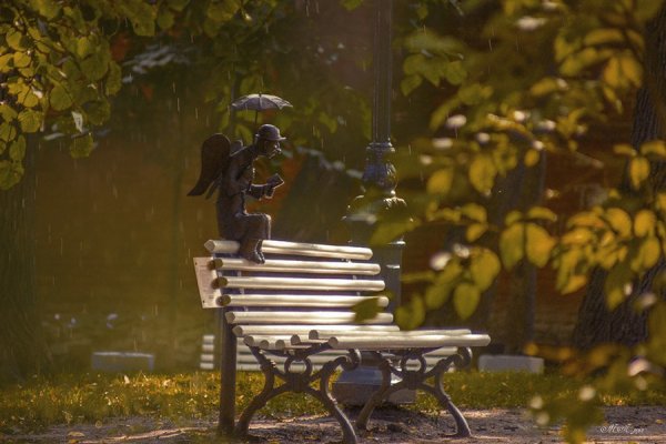 Одинокая скамейка в парке