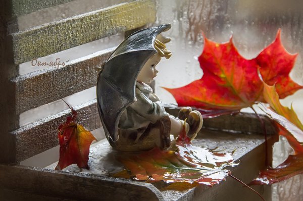 Осень дождь счастье