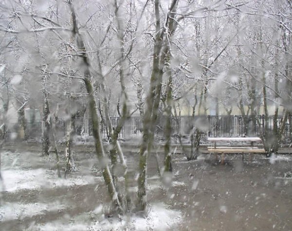Весенний снегопад