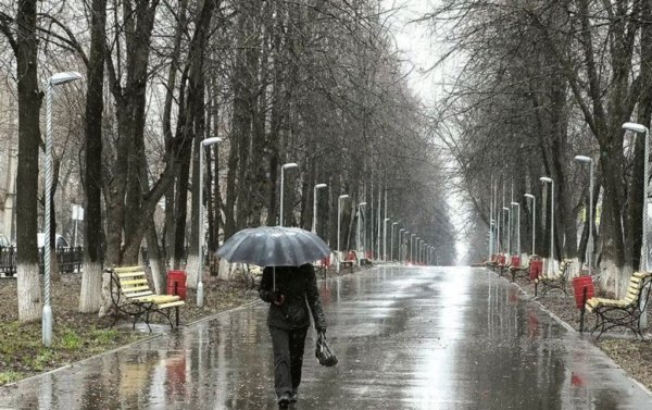 Дождливая Весна в городе