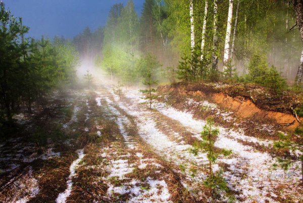 Тайга бездорожье Сибирская глушь