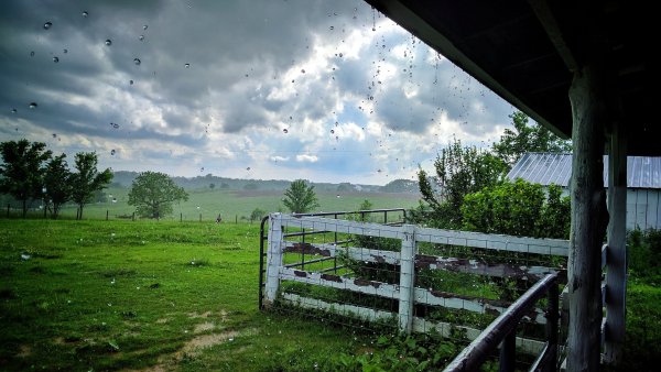 Лето в деревне