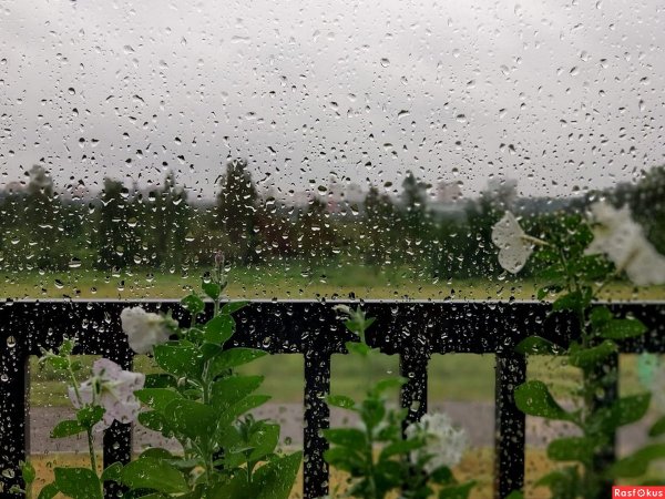 Дождь стучит