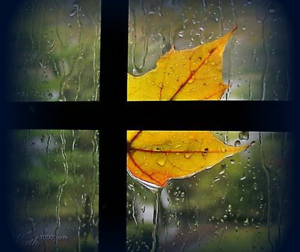 Дождь стучит в окно