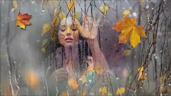 Осенний дождь стучится в окна