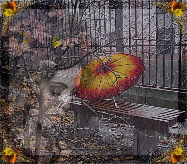 Дождь в осеннем саду