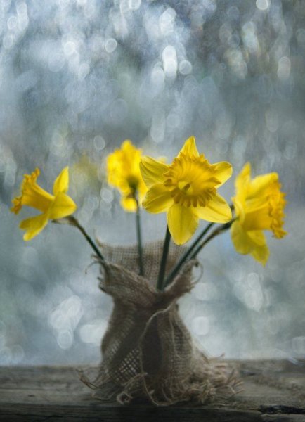 Весна дождь