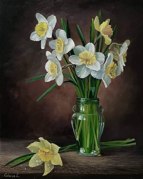 Нарциссы Кацура