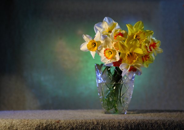 Поздравления для мамы с нарциссами