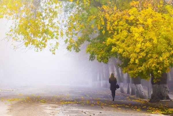 Грустные стихи про осень