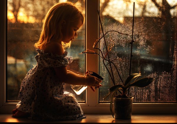 Маленькая девочка у окна