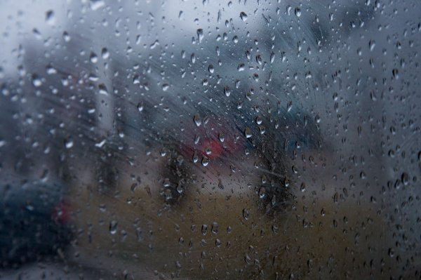 Местами снег местами дождь