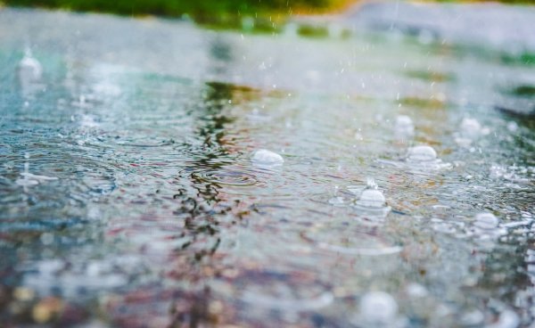 Дождь на Кубани