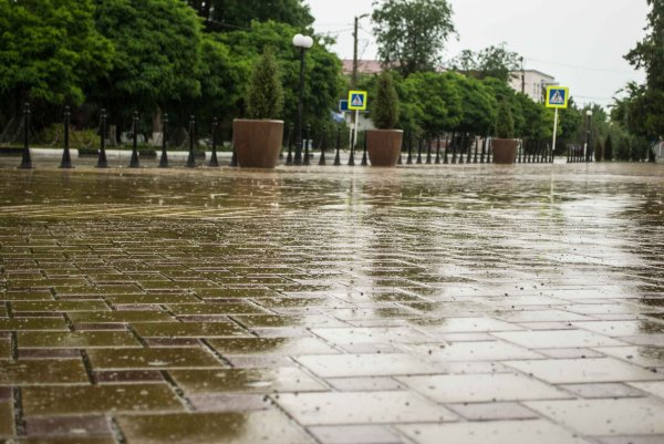 Дождь на Кубани