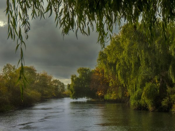 Дождь на реке