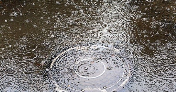 Дождь на Кубани