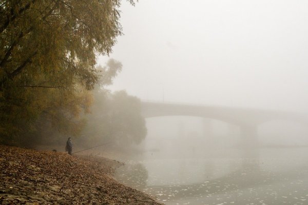 Сильный туман